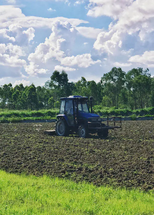 Cultivo de tierras de cultivo